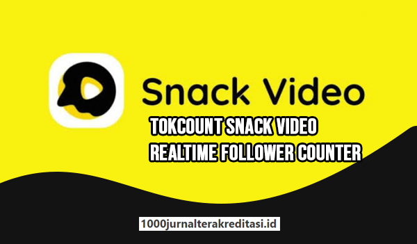 TokCount Snack Video