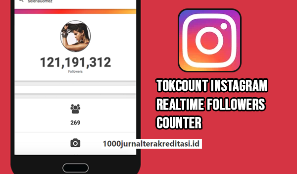 TokCount instagram followers counter